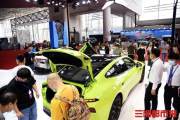 2021湖南车展 | 多款新能源汽车品牌亮相, 受消费者热捧