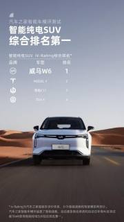 真智能or伪智能? 这款中国品牌智能纯电SUV表现亮眼