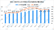 2022年11月中国电动汽车充电桩市场分析: 特来电运营数量最多